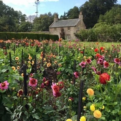 大家来停大卡车3